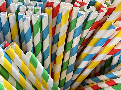 NINGBO STRAWKINGS PRODUCTS CO.,LTD.: Product image 1